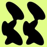 MAGEM – Molecular EP