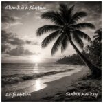 Seabra Monkey – Skank is a Rhythm (Lo-fi edition)
