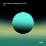 Space Bubbles, Ghost That Never Sleeps – Zelda