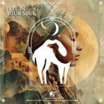 Cafe De Anatolia, AVANU (RO) – Feel in Your Soul