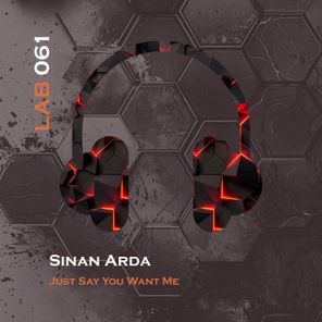 Sinan Arda – Just Say You Want Me