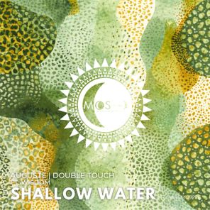 Double Touch, Wisdom – Shallow Water