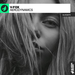 V-FOX – Aerodynamics