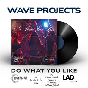Wave Projects, Alin Iordan – Do What You Like