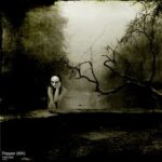 4156cf11 372e 48d3 b0ae 773d506094b1