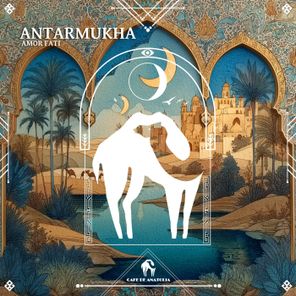 Amor Fati, Cafe De Anatolia – Antarmukha