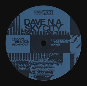 Dave N.A., Hayk Karoyi – Sky City
