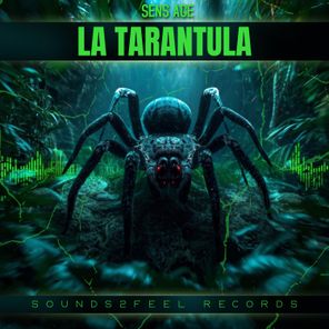 Sens Age – La Tarantula