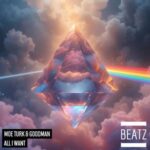 Moe Turk, Goodman – All I Want