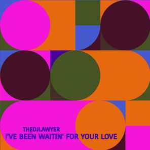 TheDjLawyer – I’ve Been Waitin’ for Your Love