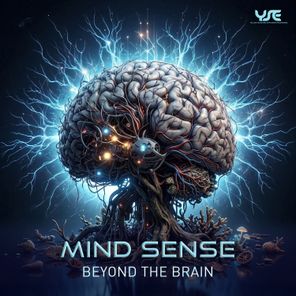 Mind Sense – Beyond the Brain