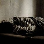 4ec4ac73 2612 442a a1d0 0fdbeff09aa6