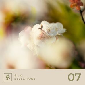 Aleyum, Traumhouse – Silk Selections 07