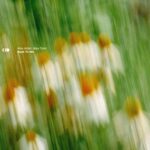 50ea1a8f 167a 4a22 a592 5bebcaae19cf