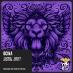 Gcina – Signal Drift