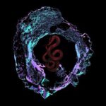 550dd8bb dea9 411d a47c 05d133a7bb68