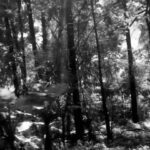 606c7fd9 b08e 4f45 b147 88bc764e24c4