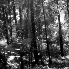 Marco Delforno – Abelsonite