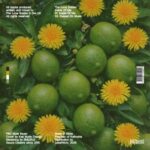 The Lone Soldier – Inside Of Me