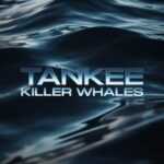 TanKee – Killer Whales