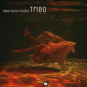 DaDa Sound Project – Tribo