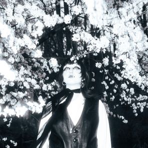 Molly Lollen – Poshes, I’m Sorry