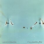 ADMINISTRATOR, Pino Peña – fly_sparks_fly