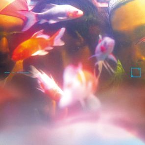 SY3 – 梦游 Sleepwalker