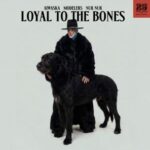 6bcaae86 9329 470c 929f 317febbe2918