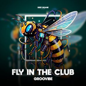 Groovibe – Fly In The Club