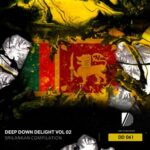 Vihanga, ANix JAy – Deep Down Delight Srilankan,Vol. 01