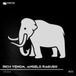 Angelo Raguso, Rich Venom – Vibes