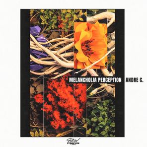 André C. – Melancholia Perception