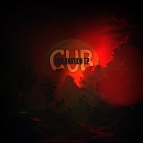 Cub – Hibernation