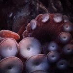 7ad86225 0369 449c b8a1 e093a4c60a50