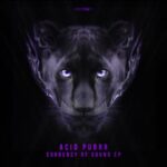 Acid Purrr – Currency Of Sound