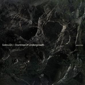 Selewsin – Doctrine Of Undergrowth