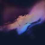 849c7843 bda4 49f8 9479 ef23d7756ebd