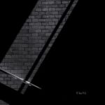 Human Slave – SS1