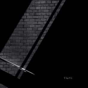 Human Slave – SS1