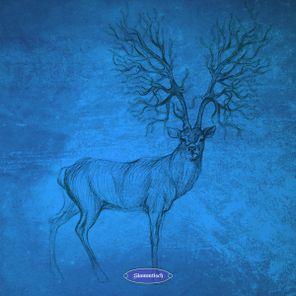 Dan Rubell, Datenbahn – Control Tabs