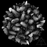 8b83ffdf 576c 4109 bb76 ca900002fe56