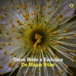Steve Brian, Epilogus - De Magia Vitae 3 Steve Brian, Epilogus – De Magia Vitae