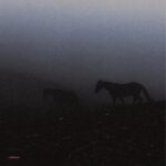 Suinyl, Grsha – Foggy Day EP (incl. Enivrèz Vous, Suinyl Remixes)