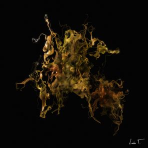 Ceas – Hidden Frequency