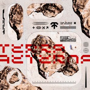 Kapibara – Dunite