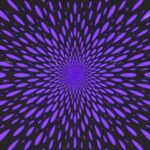 98db2183 c595 4931 a4aa 54e28bb952e6