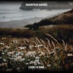 Ignatius Wang – Ikigai