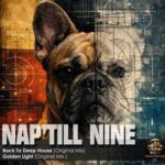 9c72a869 9e09 4360 aad3 c47f1fc70ca9