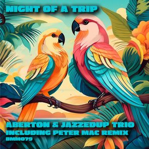 Aberton, Peter Mac – Night of a Trip